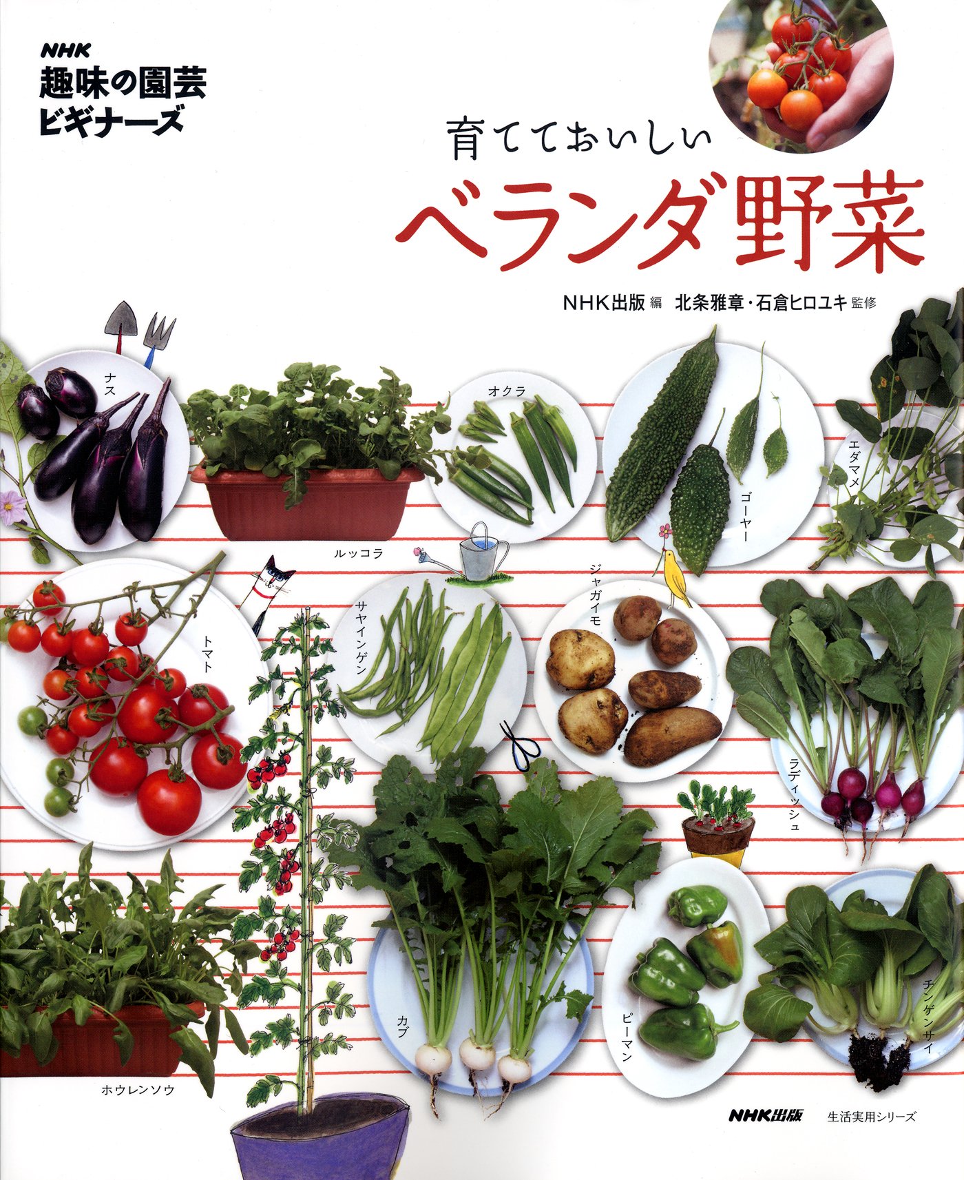 朝、とれたての一皿をキッチンに！ベランダで野菜を育てたくなる本