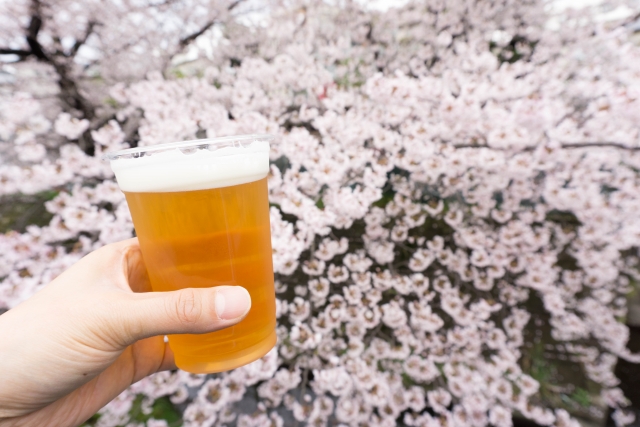 お花見前に知っておきたい！お酒を飲む前に気をつけたいこと3つ
