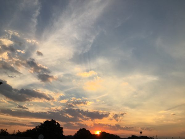 IMG_5048