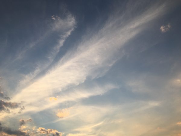 IMG_5054