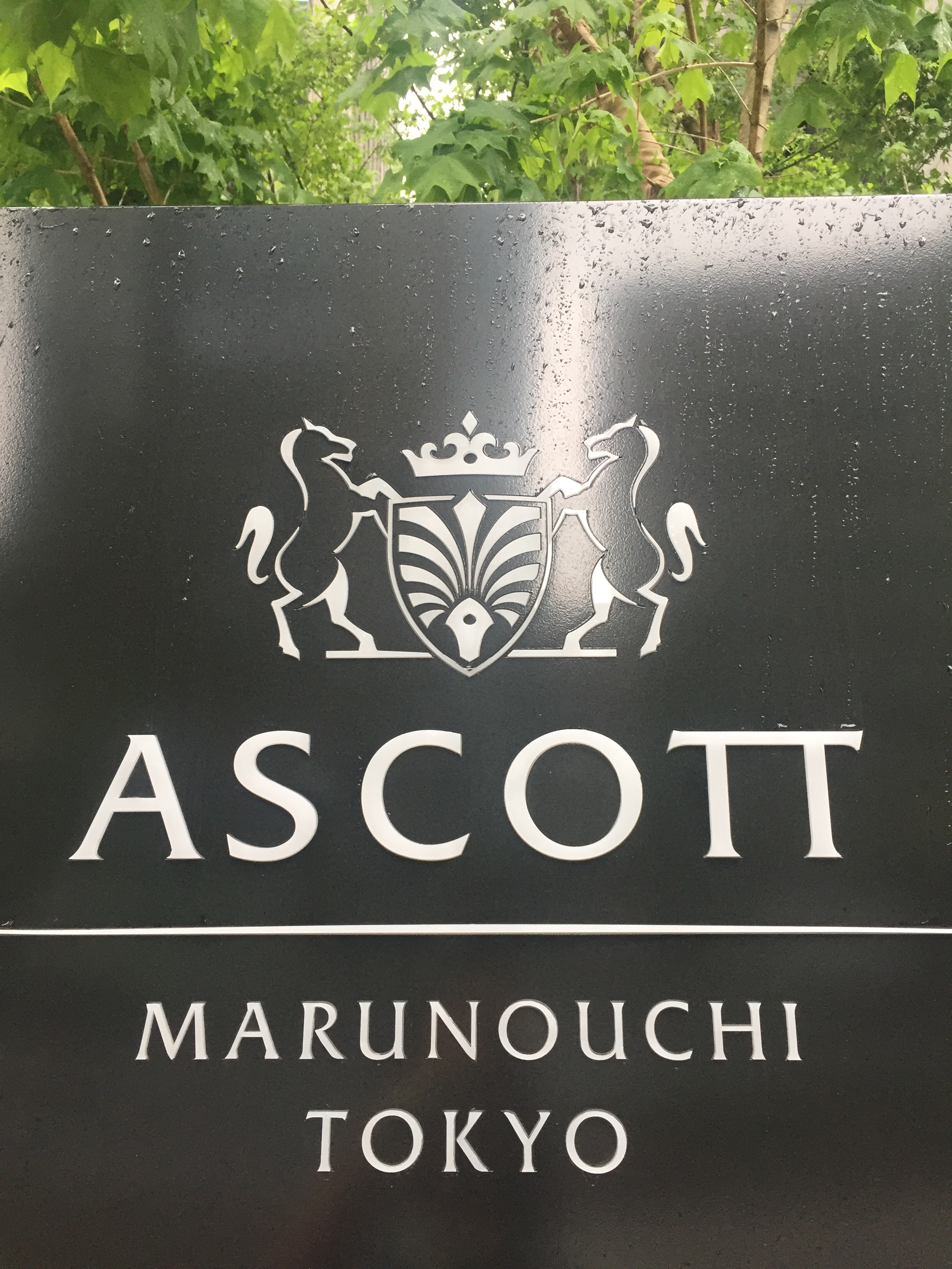 【大手町】NEW！緑を眺めながらシンガポール料理@アスコット東京【vol.118】