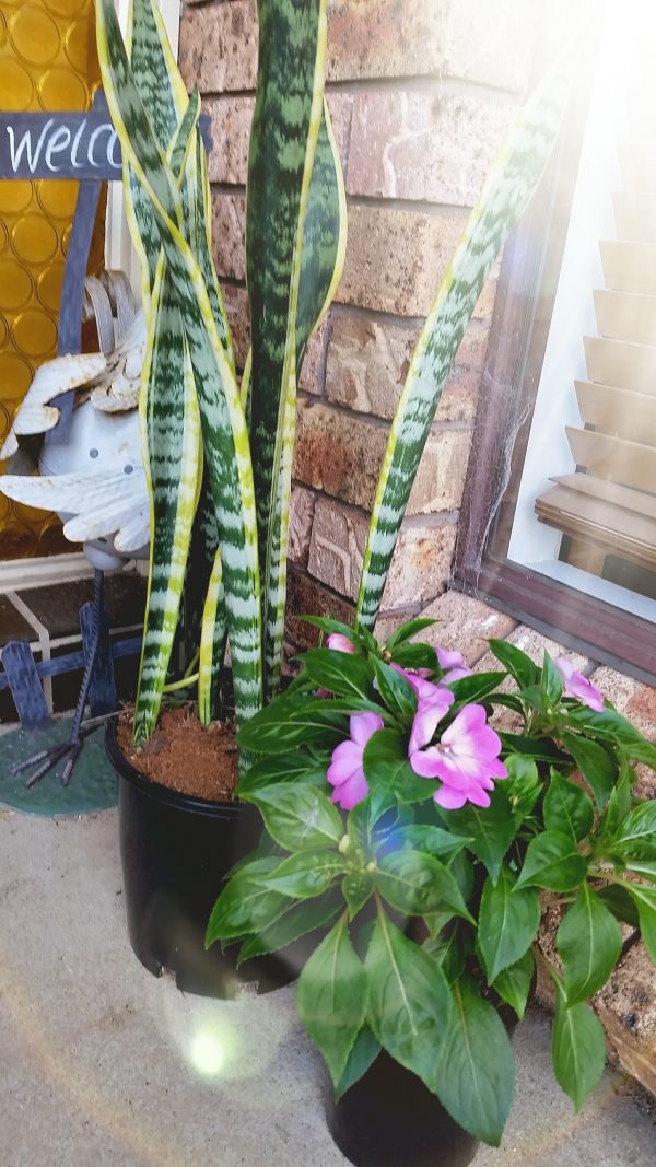 20170515_093009