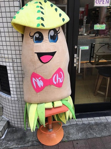 シンチャオ6