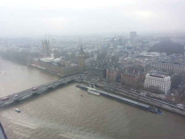 IMG_0884