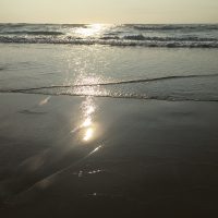 IMG_5589