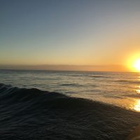 IMG_5628