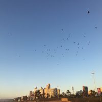 IMG_5632