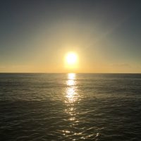 IMG_5647