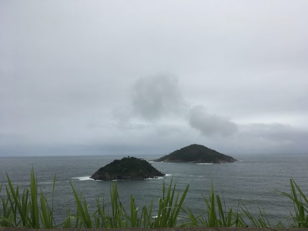 IMG_9900