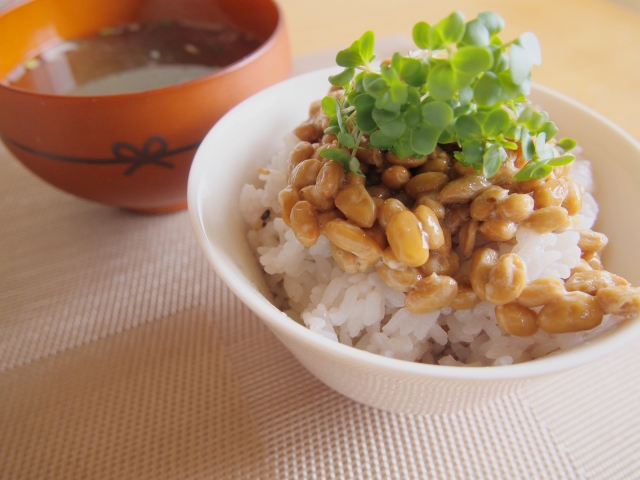 今日から「菌活」！腸内環境の改善にオススメの食材5つ