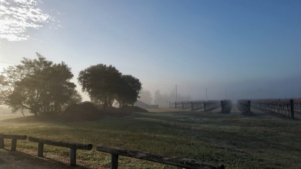 20170619_092632