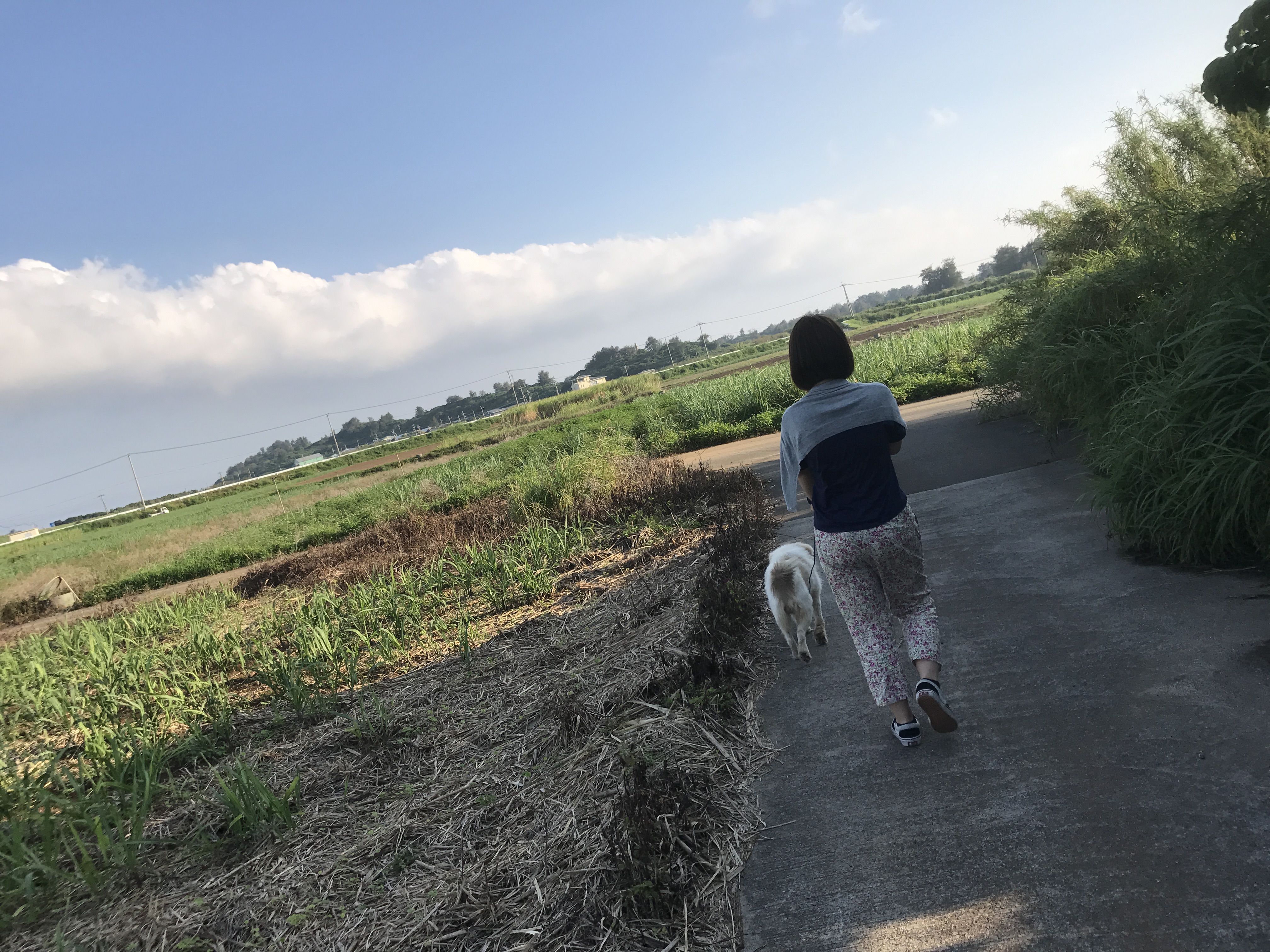 喜界島の週末の朝時間。
