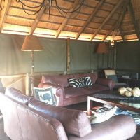 IMG_5991