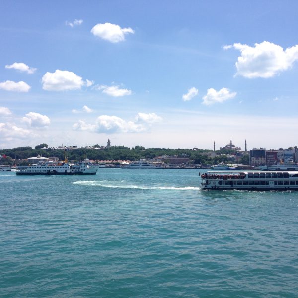 image_1