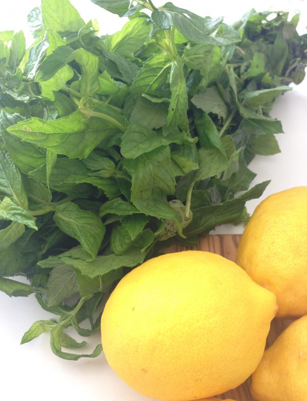 mintlemonmint