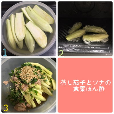 35a2a4e6