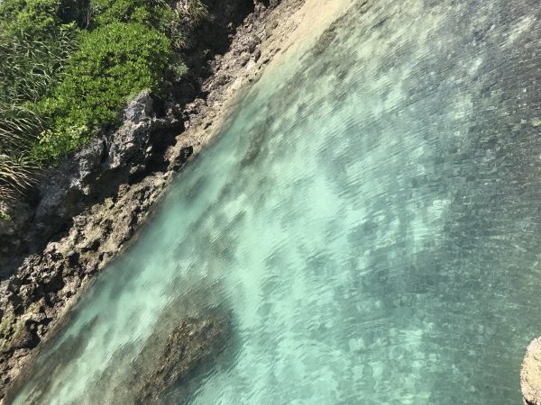 IMG_0832