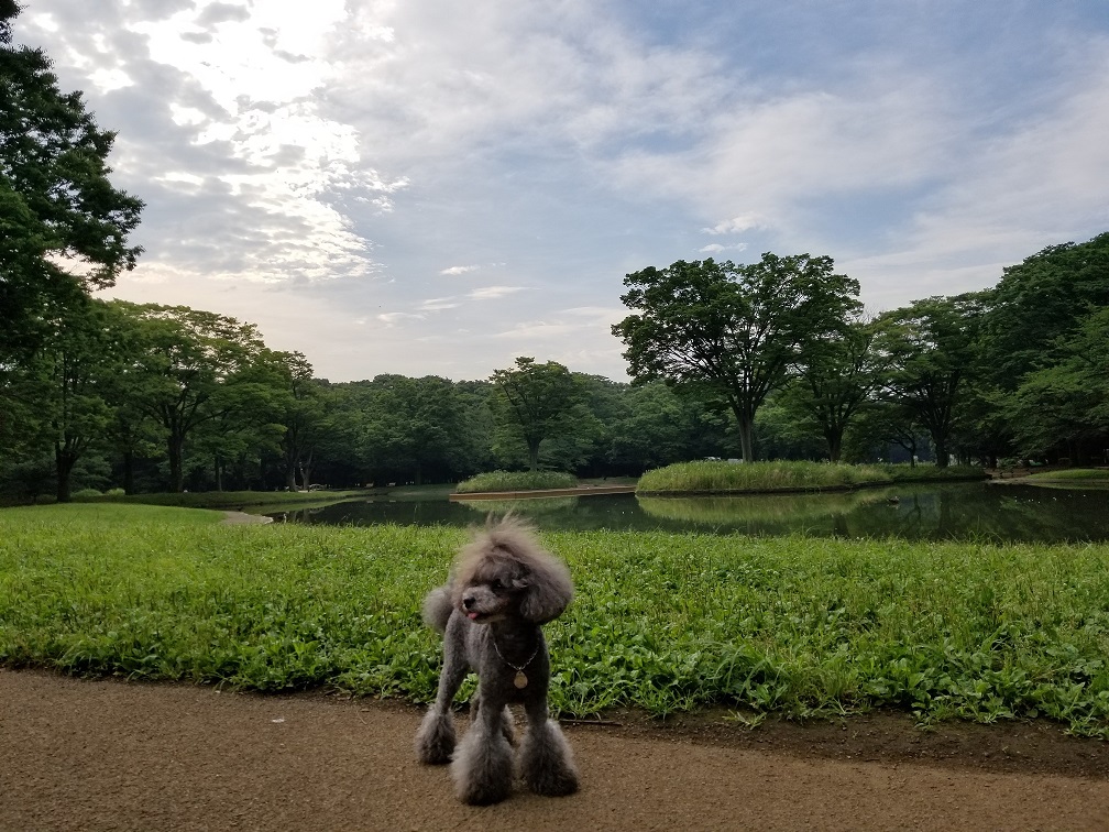 20170703_064220