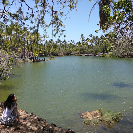 pond