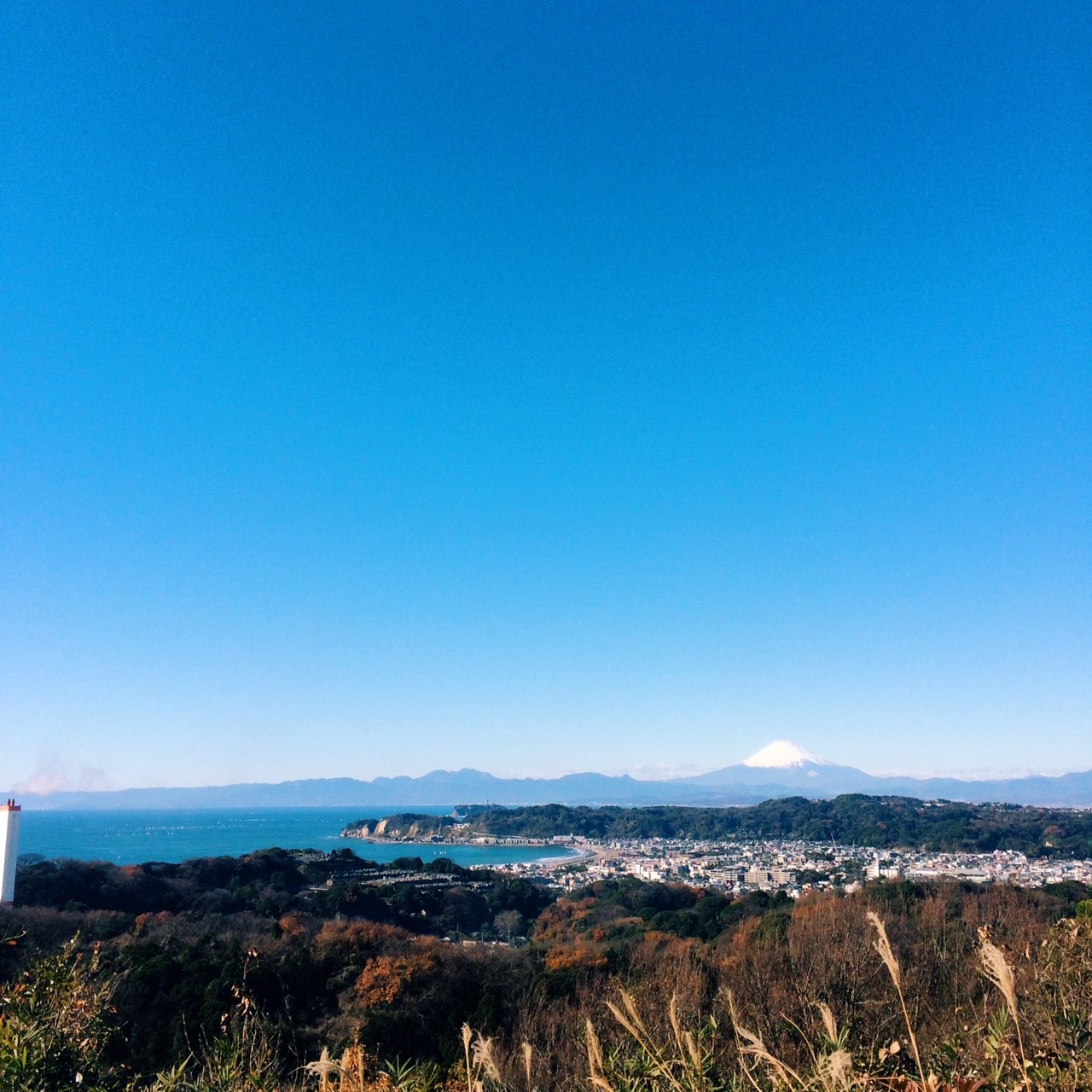 Q1_散歩コースからの風景