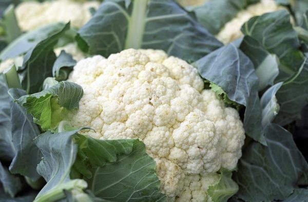 cauliflower-1465732_960_720