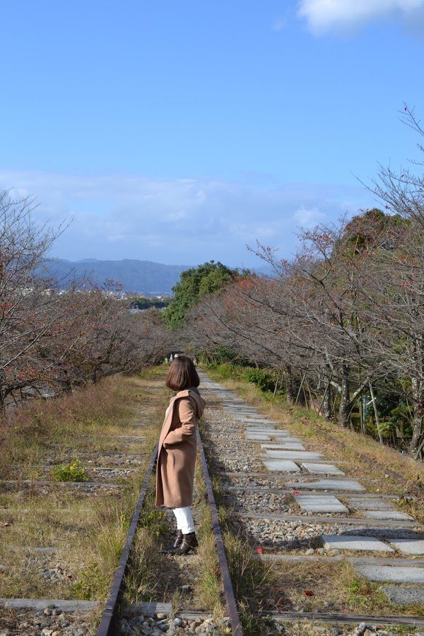 kyoto2