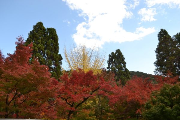 kyoto5