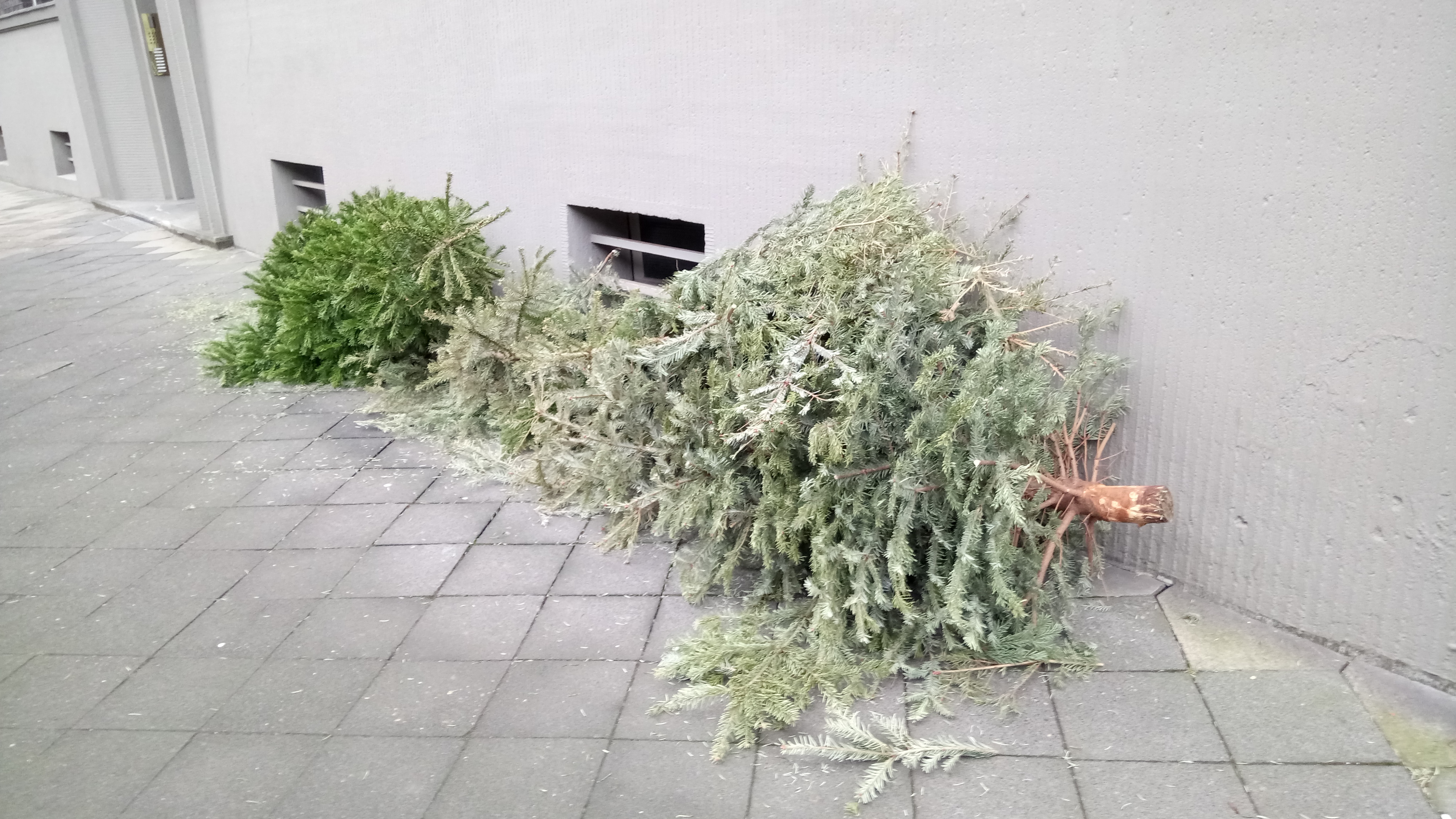 クリスマスツリーのその後