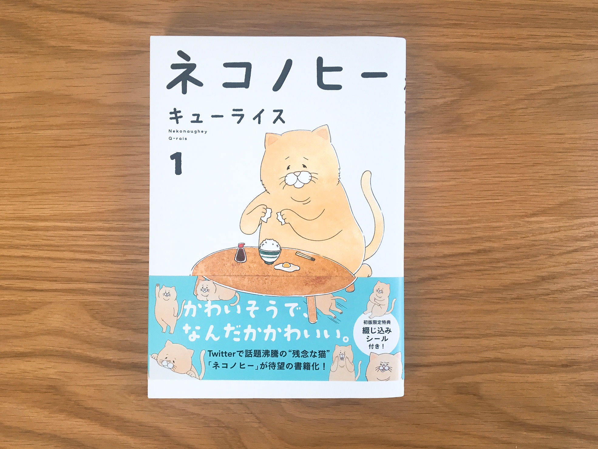 癒し効果バツグン！Twitterで話題沸騰「ネコノヒー」って？