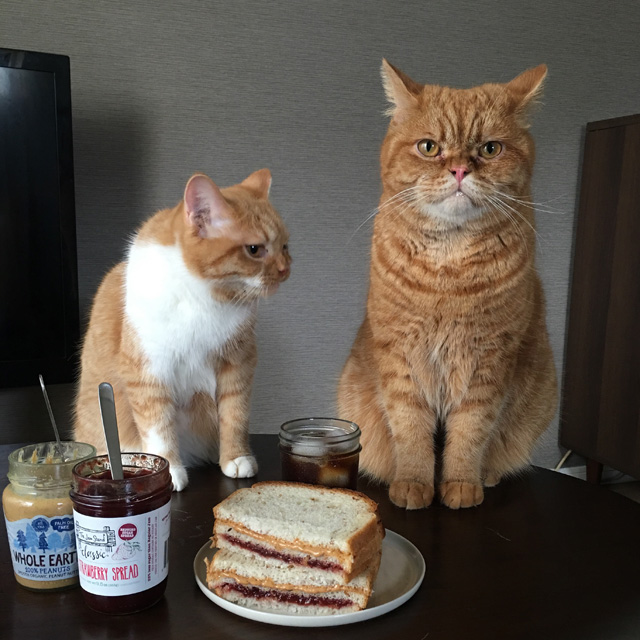 おいしさのコツはケチらず塗ること！「ピーナッツバター＆ジャムサンド」