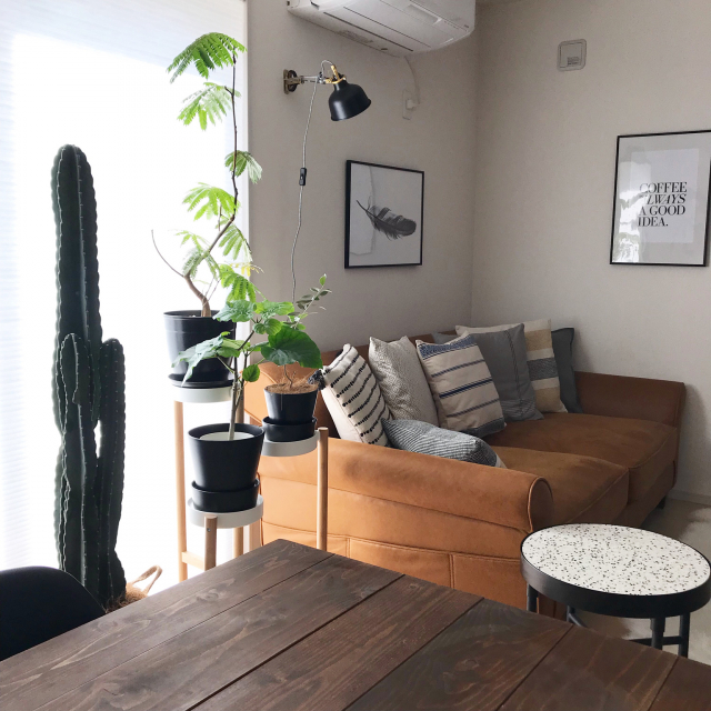 観葉植物のあるお部屋 観葉植物のあるお部屋