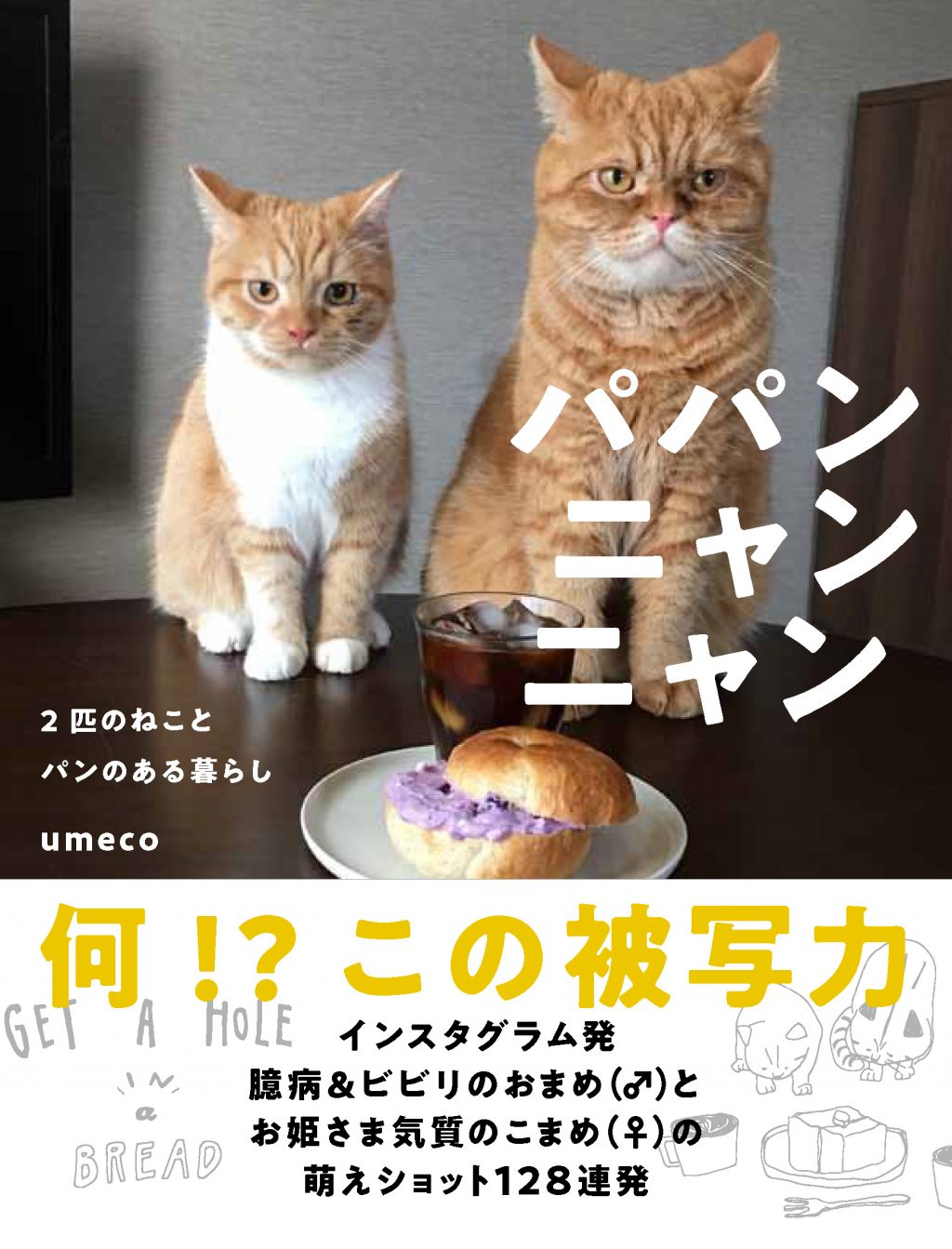 書籍カバーパパンニャンニャン