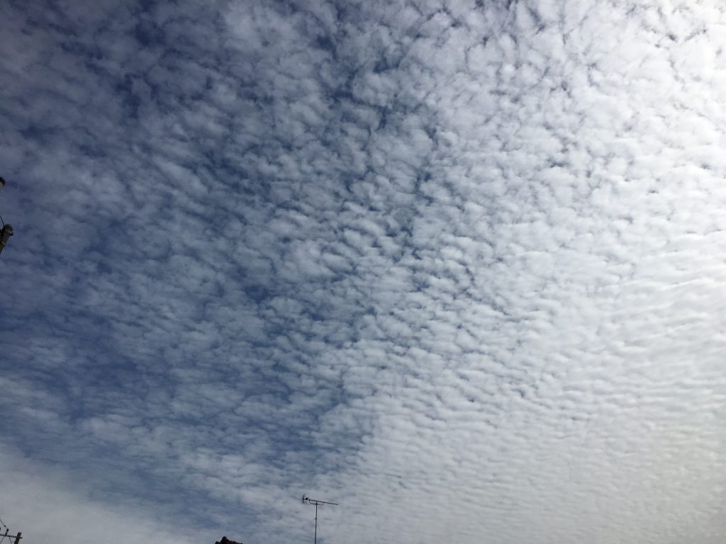 朝の空