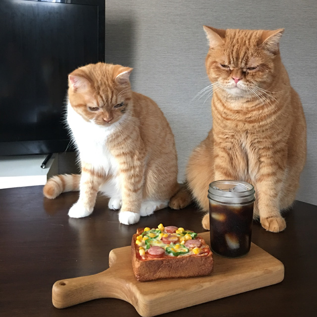 猫とパン★とろけるチーズに3色そろうと食欲アップ「ピザトースト」