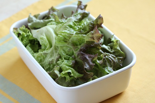 葉野菜 葉野菜