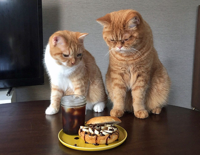 デザートみたいなご褒美朝ごはん♪こってり「チョコバナナベーグルサンド」
