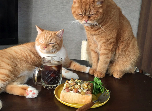 レンジを上手に活用すれば朝でも作れる♪「ジャーマンポテトトースト」　