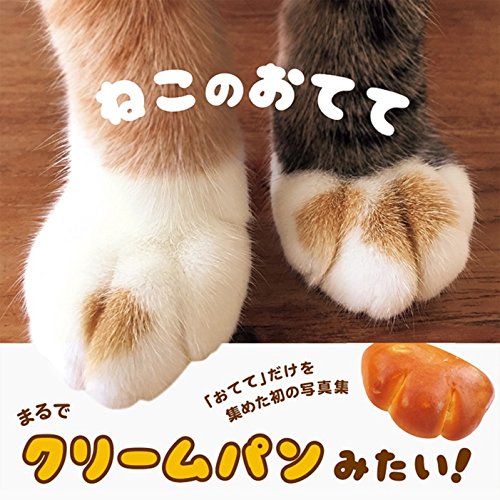 癒されたい時に！ふんわりやさしい気持ちになれる本『ねこのおてて』