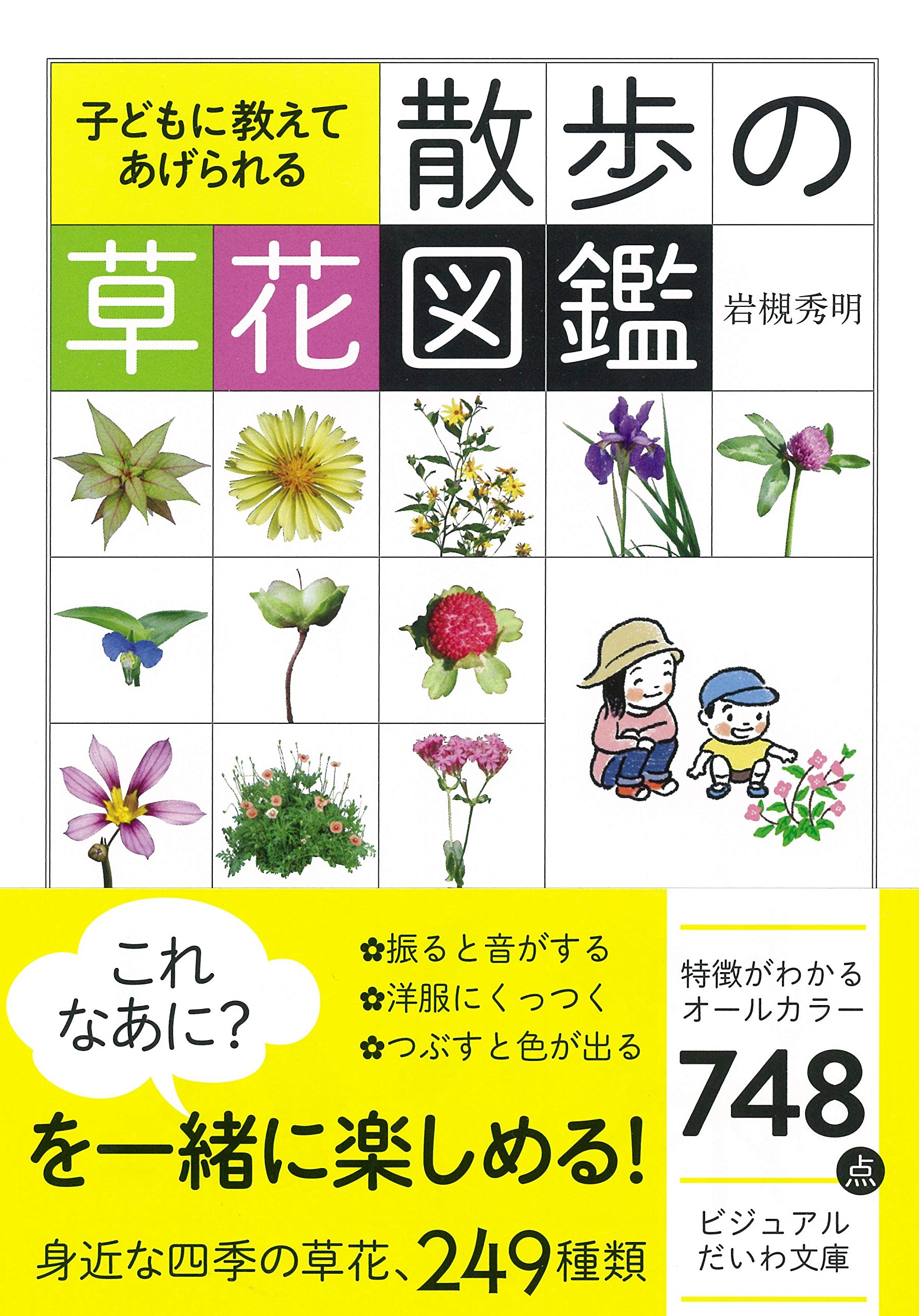 野の花探しにオススメ『子どもに教えてあげられる 散歩の草花図鑑』