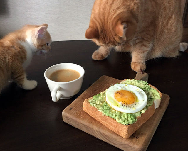 フォークでしっかりつ潰すのがポイント♪「アボカド目玉焼きトースト」
