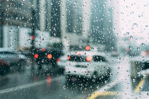 雨のしずく 雨のしずく