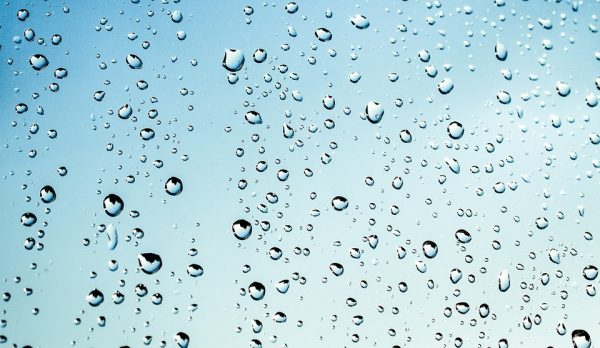 雨のしずく 雨のしずく
