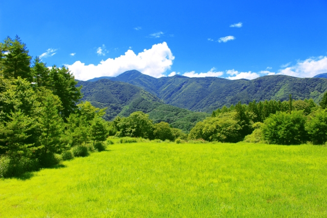 今日は山の日！夏休みのお出かけに「山」を選ぶメリット3つ