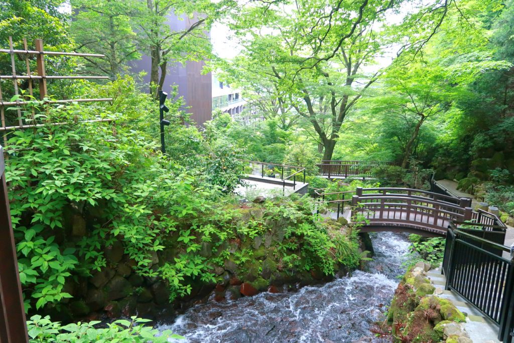箱根の大自然 箱根の大自然