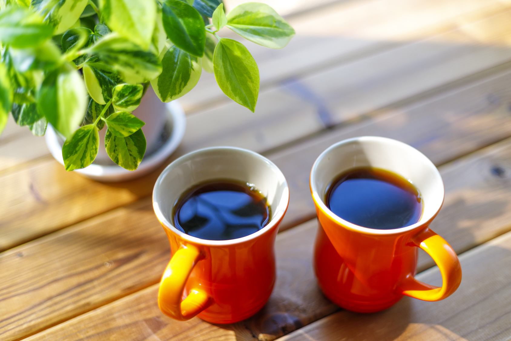 味も香りもいつもとは絶対違う！「プロのハンドドリップのような本格的なコーヒー」を自宅で楽しむ方法