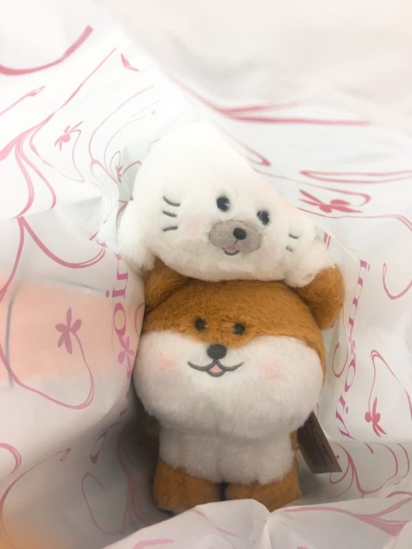 ほわころくらぶ
