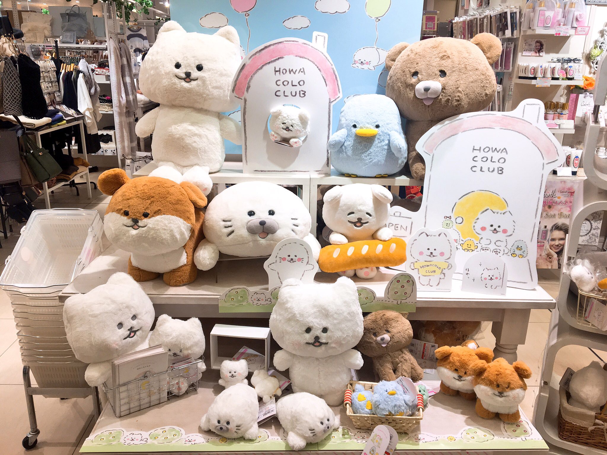 疲れた心が癒される～♪「ほわころくらぶ」って知ってる？