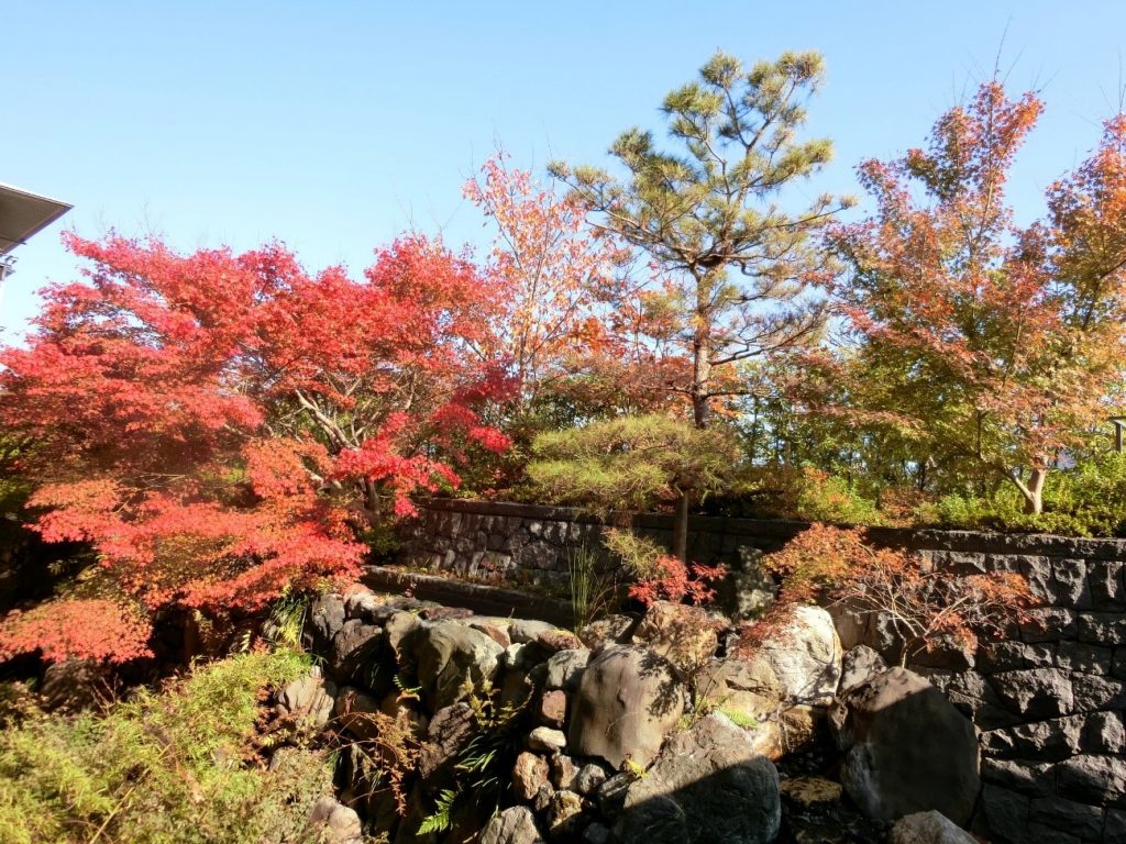 紅葉