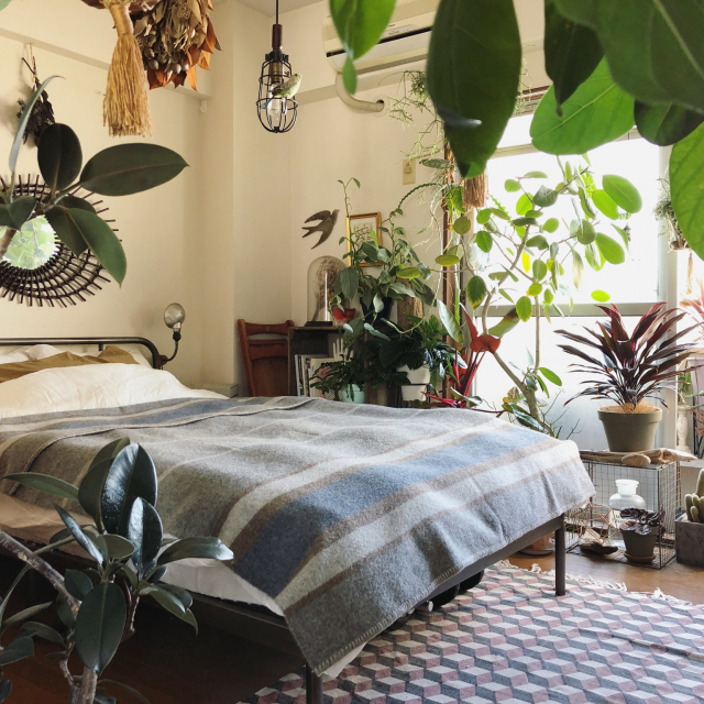 ぬくぬくのおうちで過ごしたい♪冬のあたたかな部屋づくり3つ