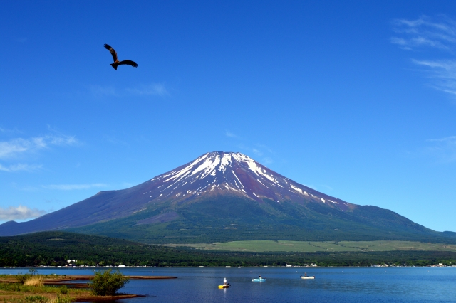 年明けに気になることNo.1？いい「初夢」を見るヒント
